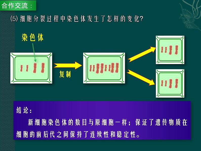 第8章 生物体有相似的结构层次  第2节 细胞的分裂和分化 课件第8页
