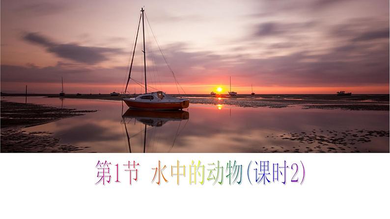 第10章 水中的生物 第1节 水中的动物  水生动物 课件第1页