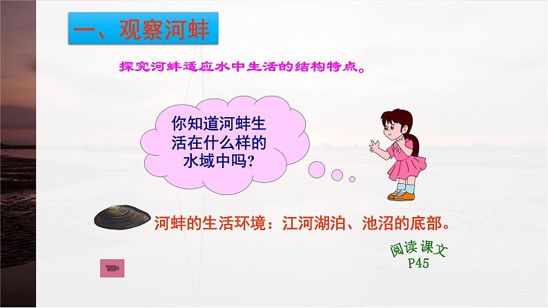 第10章 水中的生物 第1节 水中的动物  水生动物 课件第2页