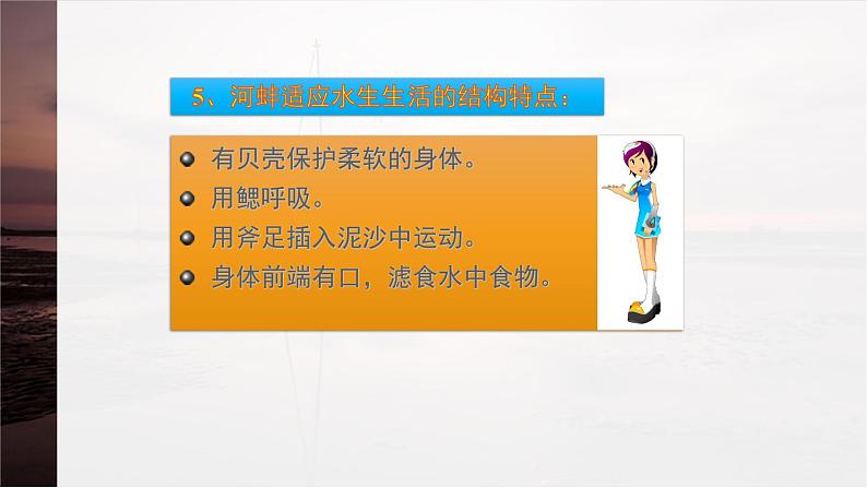 第10章 水中的生物 第1节 水中的动物  水生动物 课件第7页