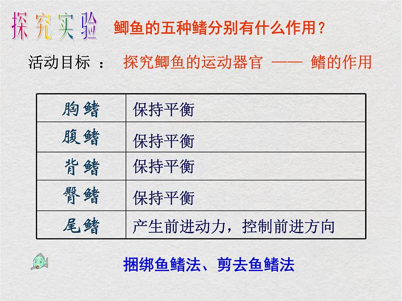 苏科版生物七年级下册课件：第10章 水中的生物 复习(共30张PPT)08