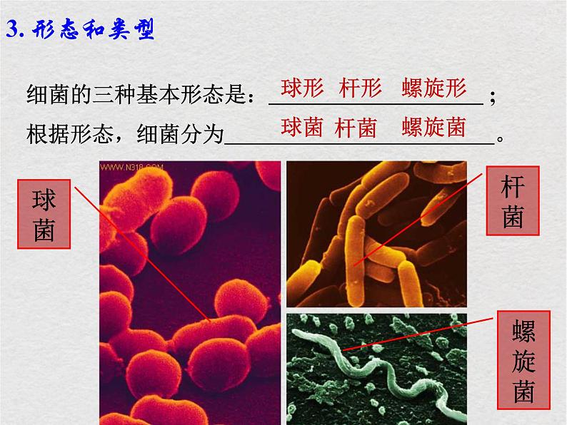 苏科版生物七年级下册课件：第13章 土壤里的生物复习(共25张PPT)08