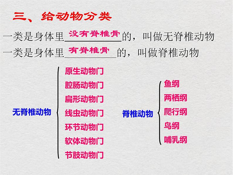 苏科版生物七年级下册课件：第14章 生物的命名和分类 复习(共18张PPT)第6页