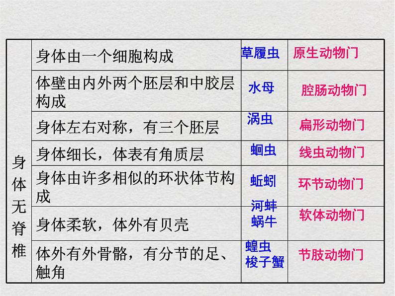 苏科版生物七年级下册课件：第14章 生物的命名和分类 复习(共18张PPT)第7页