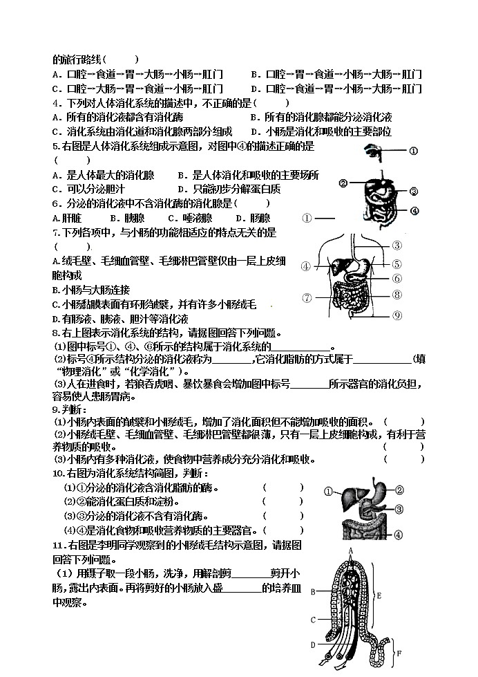 苏科版七年级生物上册导学案：5.4 人体对食物的消化和吸收02