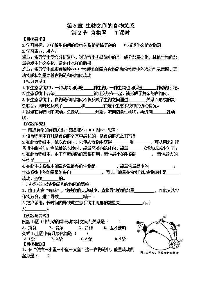 苏科版七年级生物上册导学案：6.2 食物网第1页