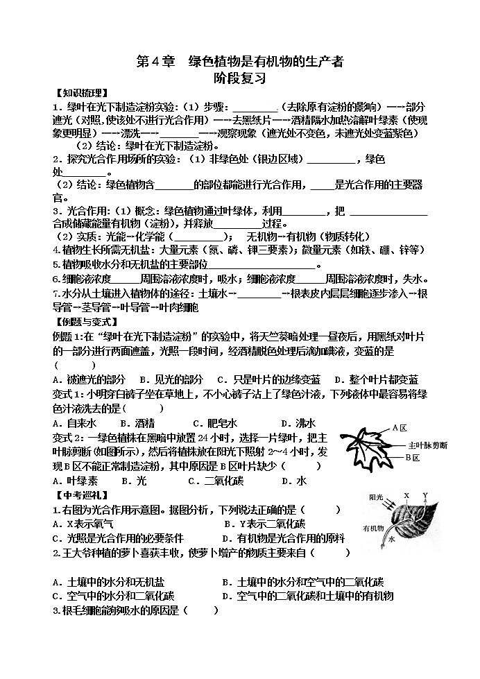 苏科版七年级生物上册阶段复习导学案：第4章 绿色植物是有机物的生产者第1页