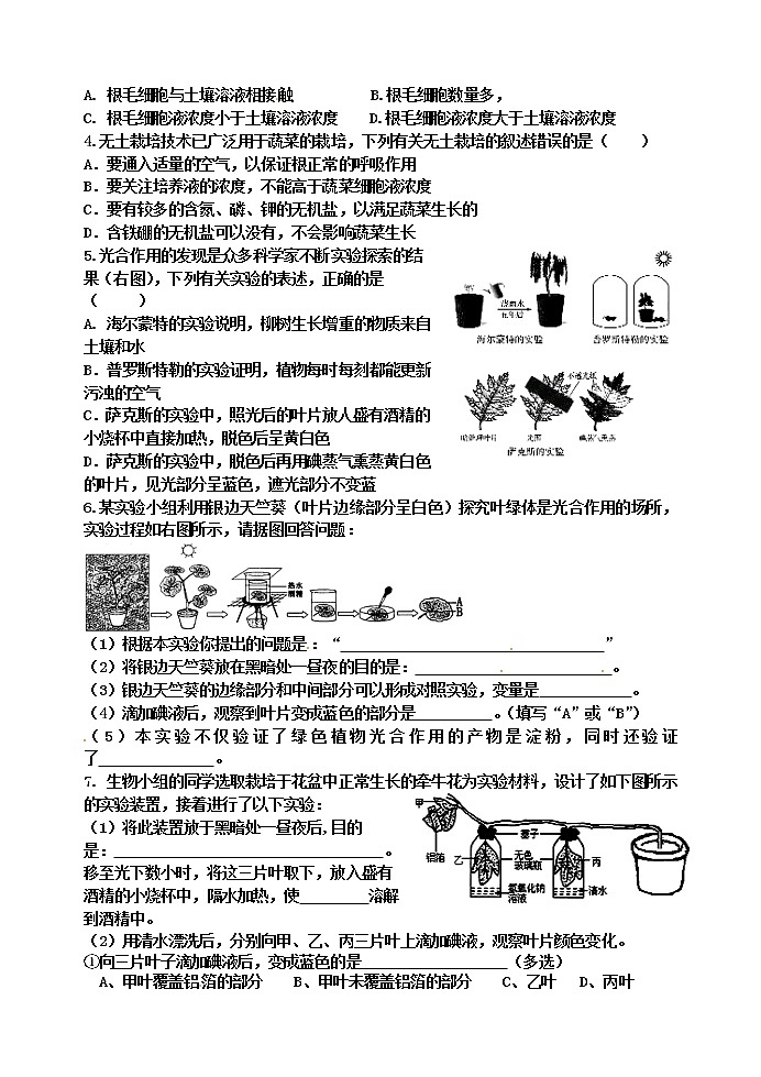 苏科版七年级生物上册阶段复习导学案：第4章 绿色植物是有机物的生产者第2页