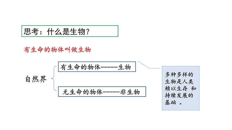 1.1  我们周围的生物 教学课件 苏教版七年级生物上册第4页