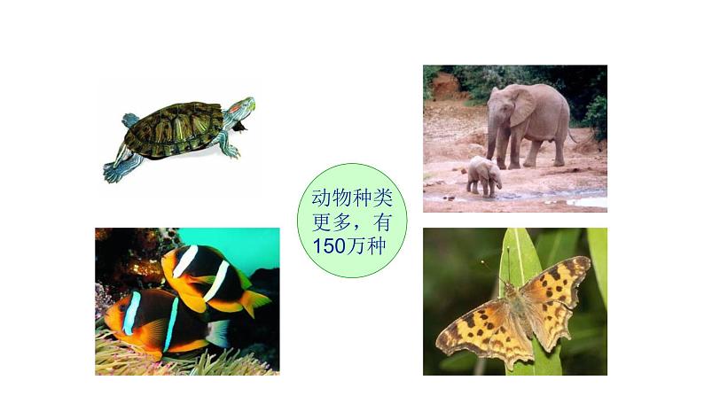 1.1  我们周围的生物 教学课件 苏教版七年级生物上册第7页