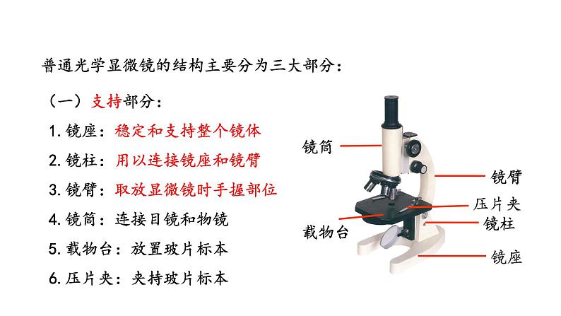 2.1 探索生命的器具 教学课件 苏教版七年级生物上册第8页