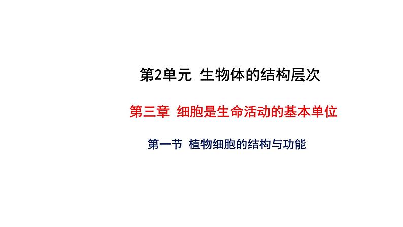 3.1 植物细胞的结构与功能 教学课件 苏教版七年级生物上册01