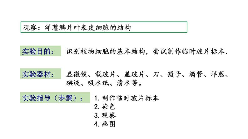 3.1 植物细胞的结构与功能 教学课件 苏教版七年级生物上册05