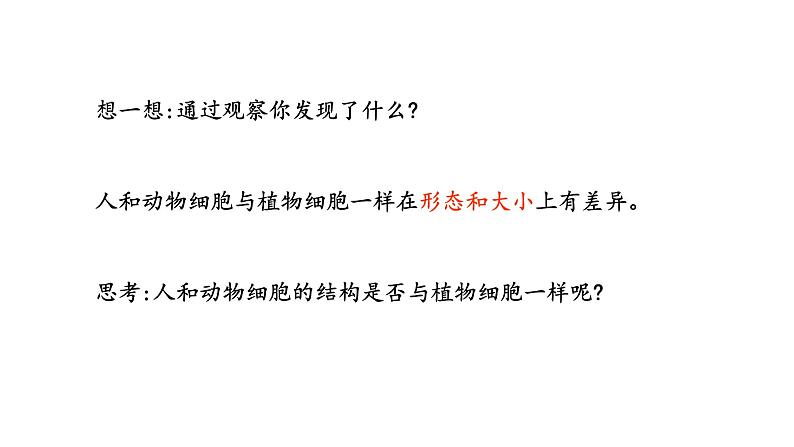 3.2 人和动物细胞的结构与功能 教学课件 苏教版七年级生物上册04