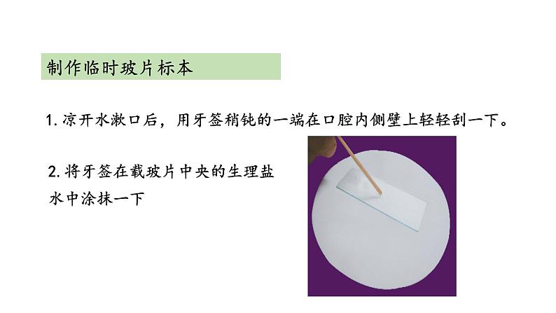 3.2 人和动物细胞的结构与功能 教学课件 苏教版七年级生物上册08