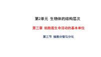 苏教版七年级上册第2单元 生物体的结构层次第3章 细胞是生命活动的基本单位第三节 细胞的分裂与分化教学课件ppt