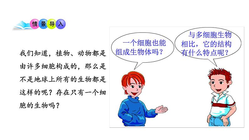 4.1 单细胞生物 教学课件 苏教版七年级生物上册02