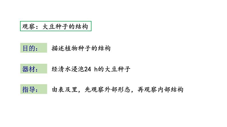 5.1 植物种子的萌发 教学课件 苏教版七年级生物上册04