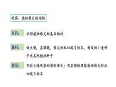 5.2 植物根的生长 教学课件 苏教版七年级生物上册