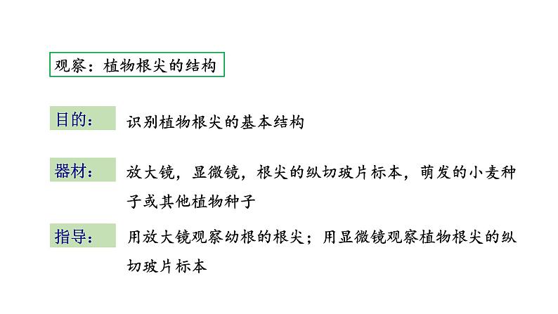 5.2 植物根的生长 教学课件 苏教版七年级生物上册第4页