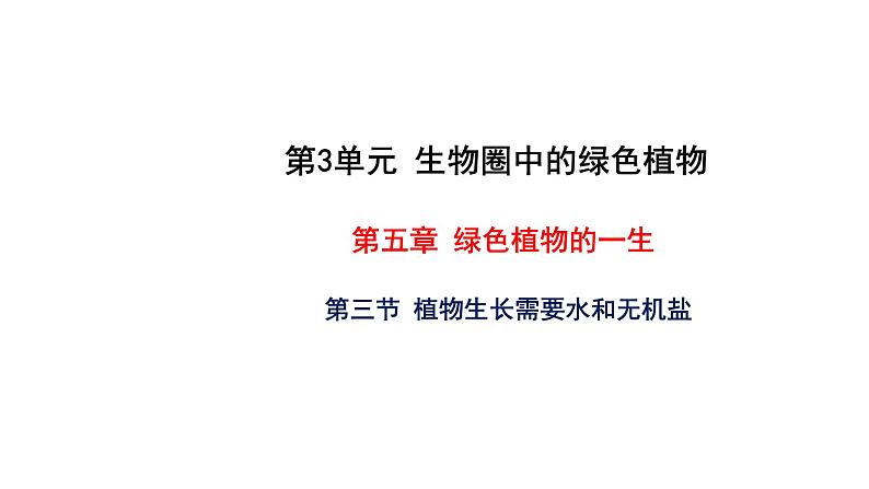 5.3 植物生长需要水和无机盐 教学课件 苏教版七年级生物上册01