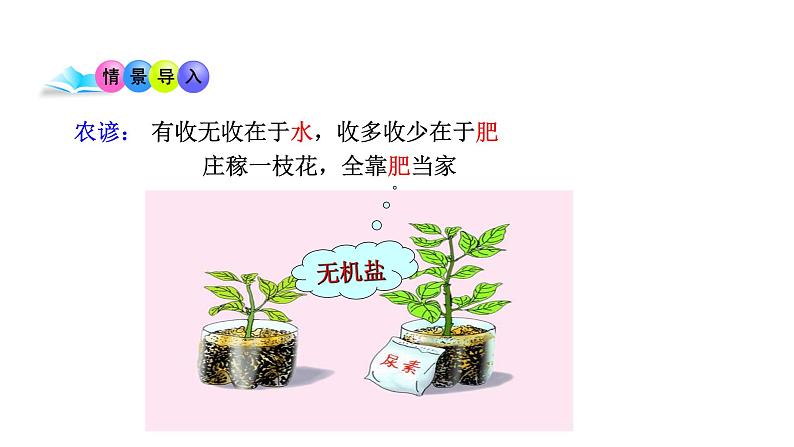 5.3 植物生长需要水和无机盐 教学课件 苏教版七年级生物上册02