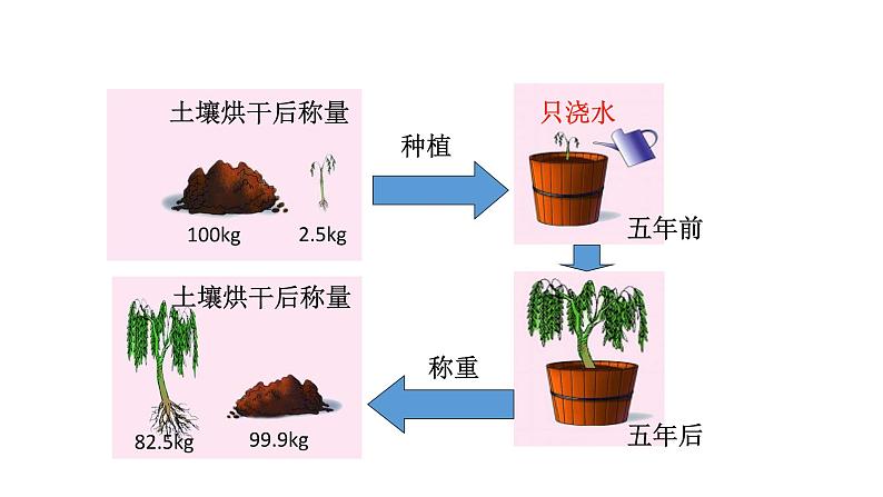 6.1 植物光合作用的发现 教学课件 苏教版七年级生物上册05