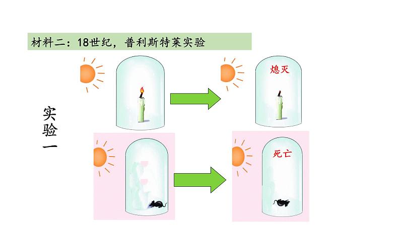 6.1 植物光合作用的发现 教学课件 苏教版七年级生物上册08