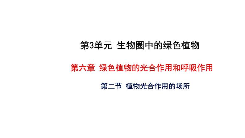 6.2 植物光合作用的场所 教学课件 苏教版七年级生物上册第1页