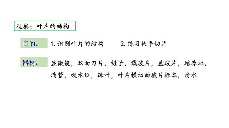 6.2 植物光合作用的场所 教学课件 苏教版七年级生物上册第5页