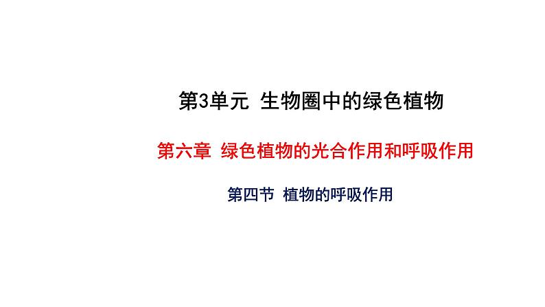 6.4 植物的呼吸作用 教学课件 苏教版七年级生物上册01