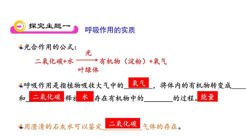 6.4 植物的呼吸作用 教学课件 苏教版七年级生物上册03