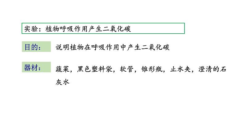 6.4 植物的呼吸作用 教学课件 苏教版七年级生物上册04