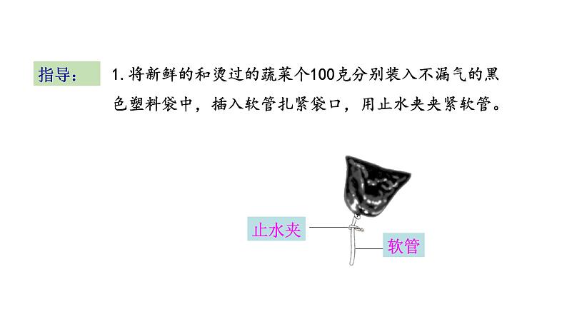 6.4 植物的呼吸作用 教学课件 苏教版七年级生物上册05