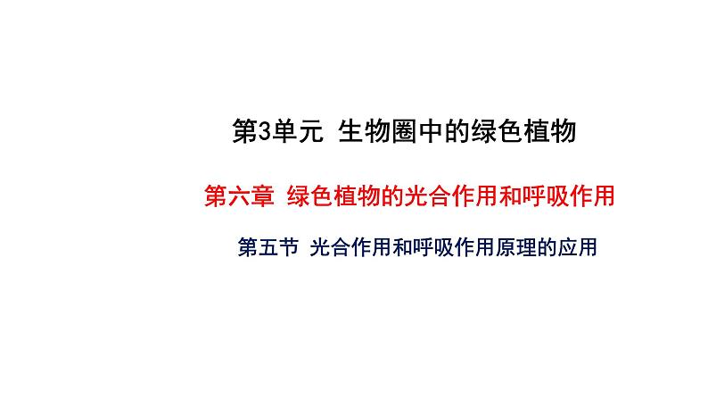 6.5 光合作用和呼吸作用原理的应用 教学课件 苏教版七年级生物上册01