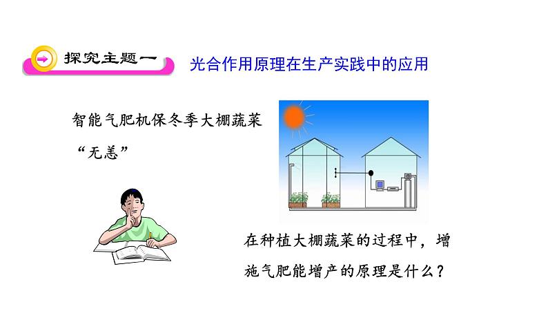 6.5 光合作用和呼吸作用原理的应用 教学课件 苏教版七年级生物上册03