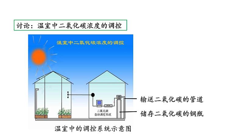 6.5 光合作用和呼吸作用原理的应用 教学课件 苏教版七年级生物上册04