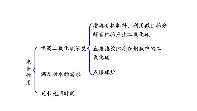 6.5 光合作用和呼吸作用原理的应用 教学课件 苏教版七年级生物上册07