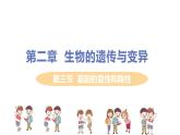 2021年初中生物人教版八年级下册  第三节  基因的显性和隐性  课件