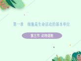 2021年初中生物人教版七年级上册  2.1.3  动物细胞  课件