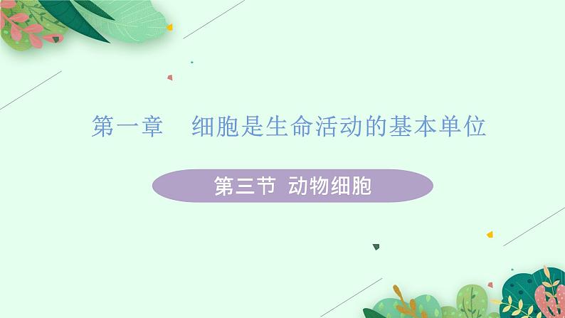 2021年初中生物人教版七年级上册  2.1.3  动物细胞  课件01