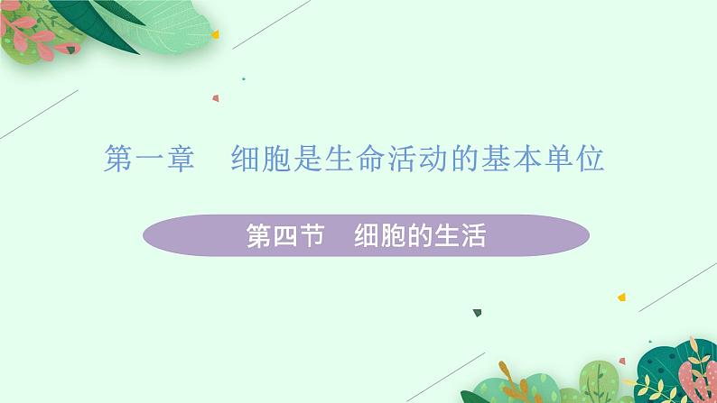 2021年初中生物人教版七年级上册  2.1.4  细胞的生活  课件第1页