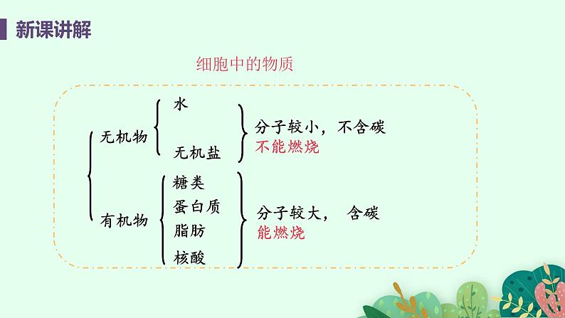 2021年初中生物人教版七年级上册  2.1.4  细胞的生活  课件第8页