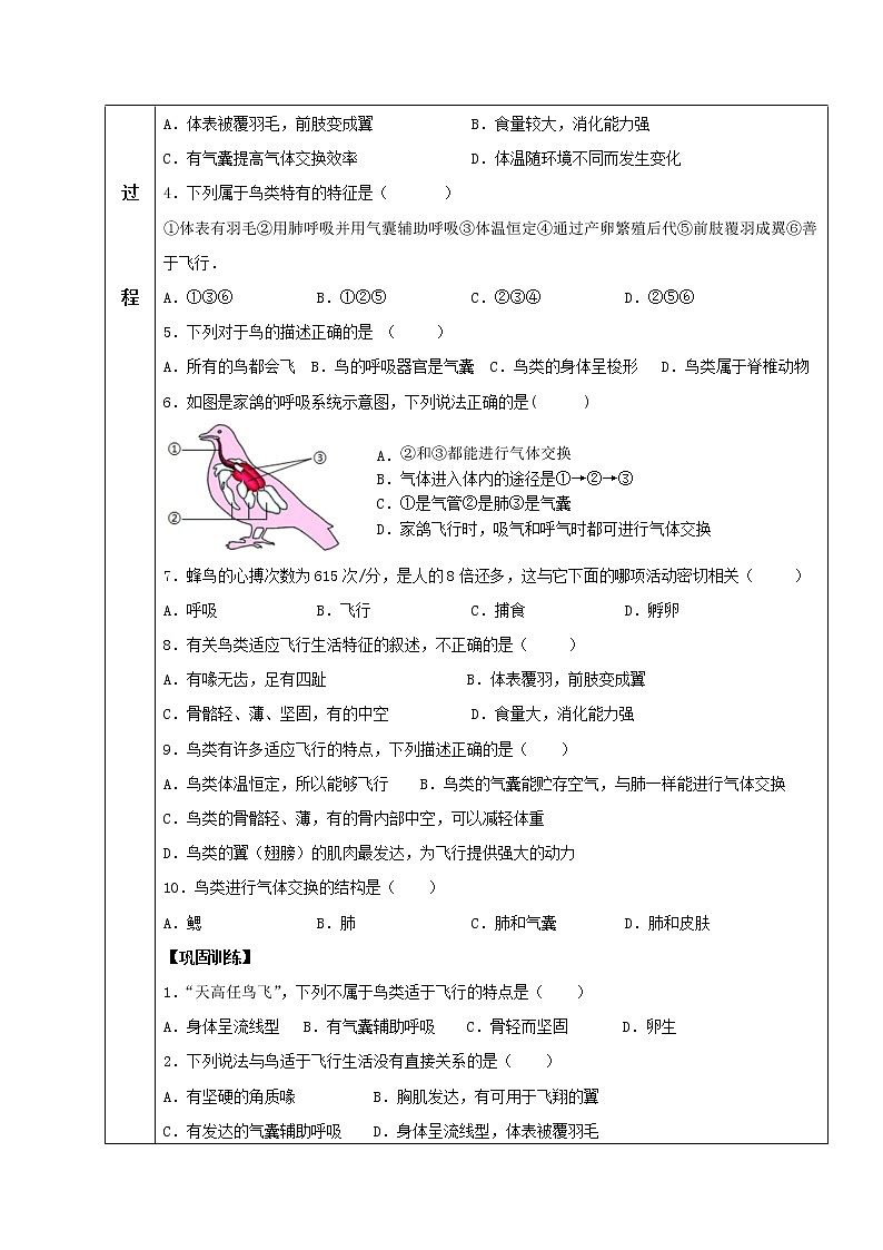 5.1.6 鸟 导学案 人教版八年级生物上册03