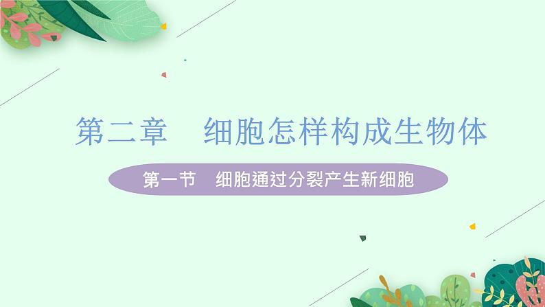 2021年初中生物人教版七年级上册  2.2.1  细胞通过分裂产生新细胞  课件01