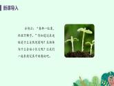 2021年初中生物人教版七年级上册  2.2.1  细胞通过分裂产生新细胞  课件