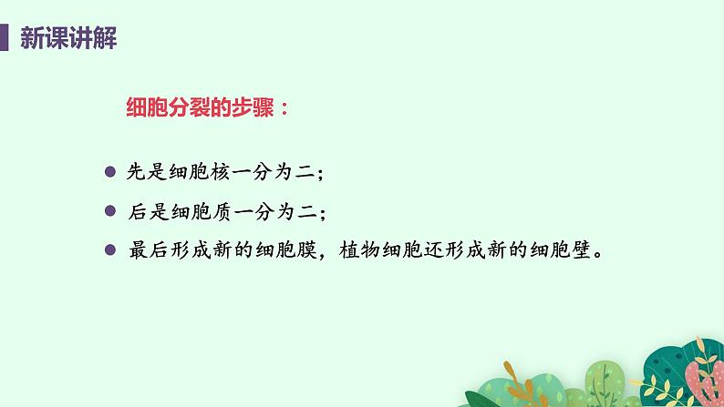 2021年初中生物人教版七年级上册  2.2.1  细胞通过分裂产生新细胞  课件07