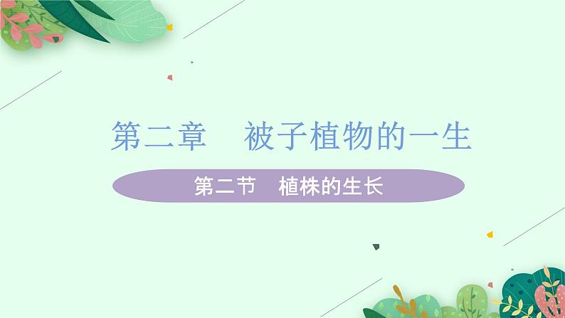 2021年初中生物人教版七年级上册  3.3.2  植株的生长  课件01