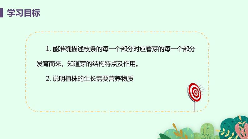 2021年初中生物人教版七年级上册  3.3.2  植株的生长  课件03