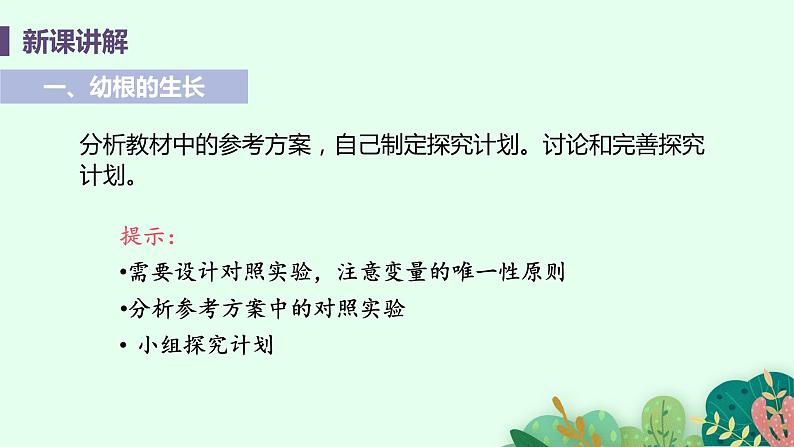 2021年初中生物人教版七年级上册  3.3.2  植株的生长  课件06